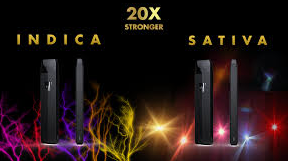 The Budtender HHCp 2ML Vape & Beyond The Budtender HHCp 2ML Vape & Beyond